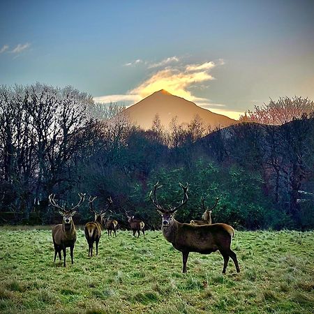 킨로크란노크 Loch Rannoch Highland Club 빌라 외부 사진